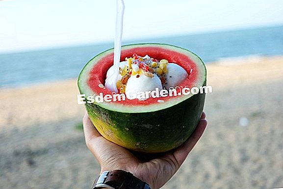 Krim dengan buah berangan