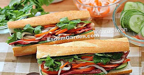 Tomato hijau dalam cuka