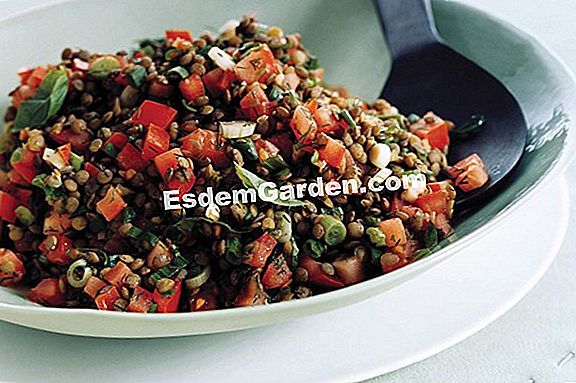 Salad lentil