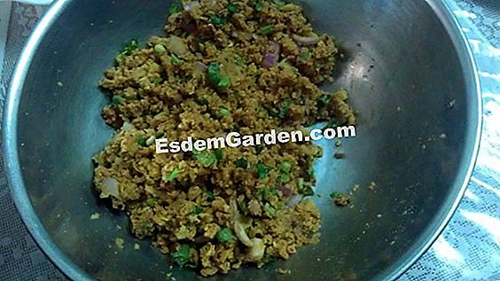 Patties dengan comfrey
