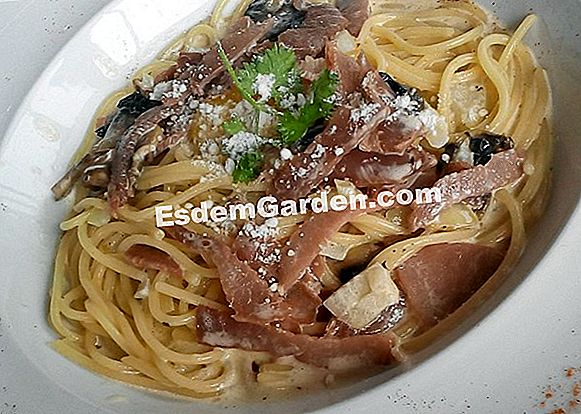 Bakul salmon dan krim kencang mereka