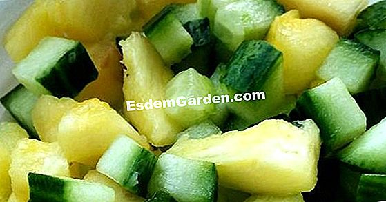 Salad jeruk dan biskut