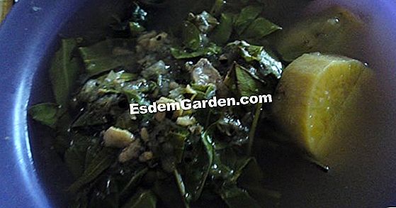 Rebus sayur-sayuran muda