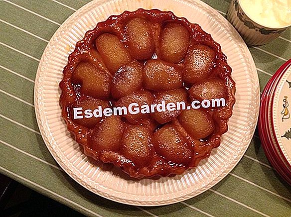 Tartin dengan krim biji kering