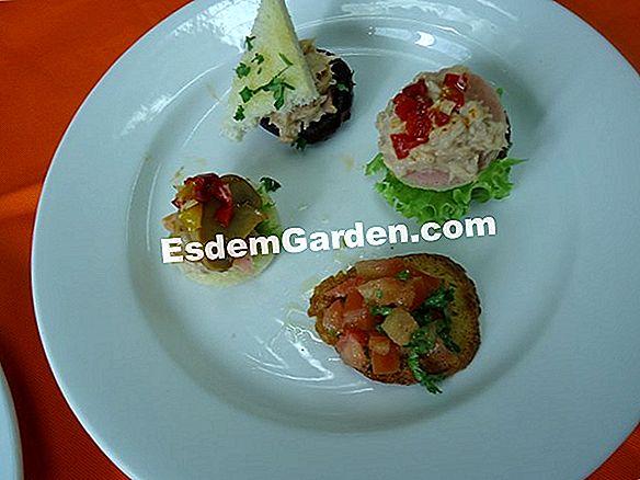 Potong Turki dengan sos bawang merah