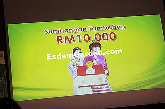 Di manakah bintang-bintang menembak datang?