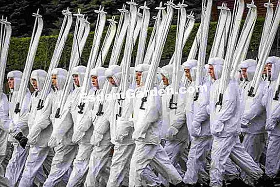 Lawn: parade anti-banjir di taman