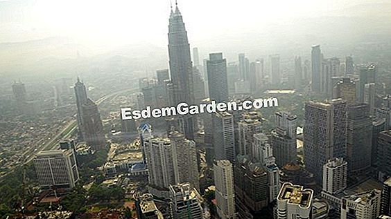 Memudaratkan dionée: gerak isyarat dan kaedah