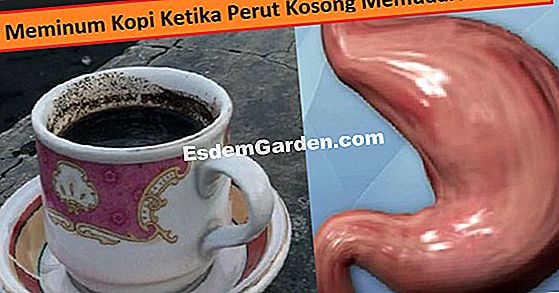 Memudaratkan oleander: kaedah dan isyarat yang baik