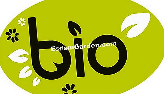 Bio seduces petani