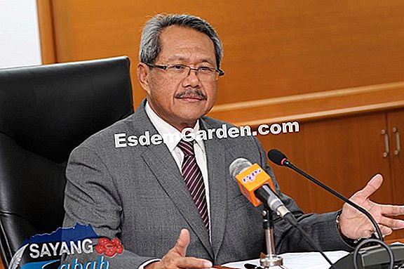 Idea persatuan dengan clematis Giant Star 'FORTIS