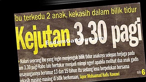 Keratan mimosa yang berjaya: petua