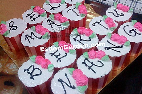 Strawberi: jenis terbaik