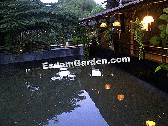 Obor dan lilin di taman