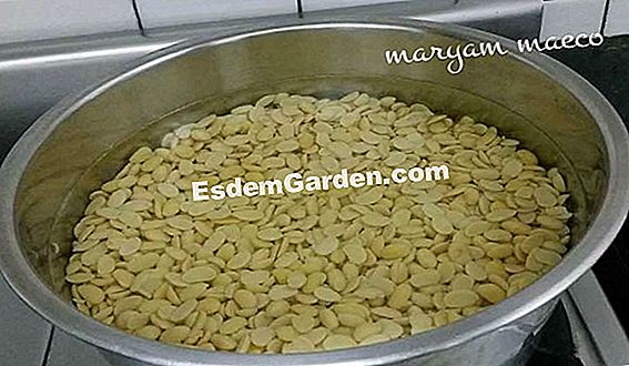 Simpan kacang kering