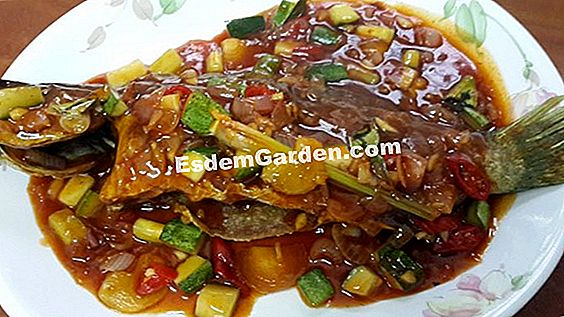 Idea untuk resipi masam dan masam manis
