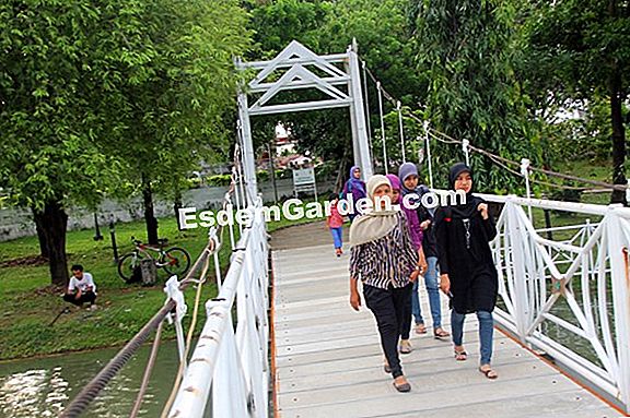 Sebuah taman panjang