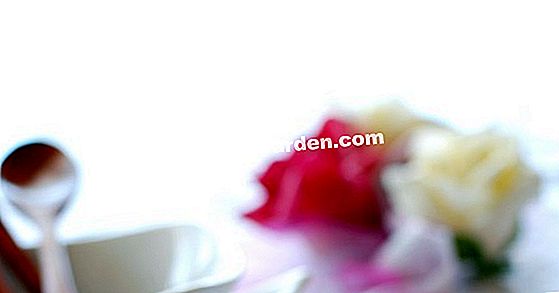 Tumbuh cendawan pada kompos