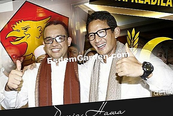 Putaran Tanaman: Tarragon