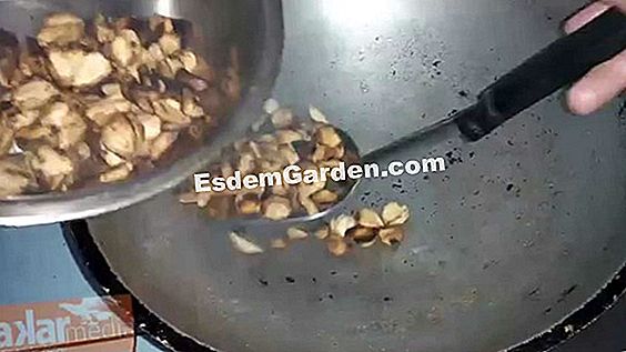 Menyuburkan leek
