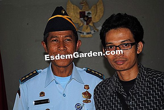 Putaran tanaman: apa yang perlu ditanam selepas tembikai?
