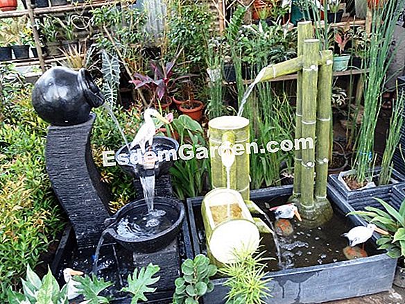 Bila dan bagaimana air mash di taman dapur