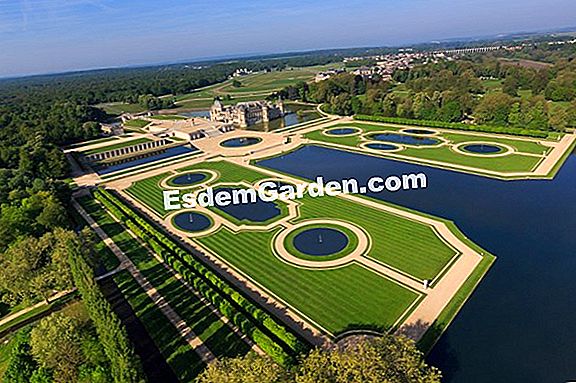 Jardin d'Elegance: borcane maiestuoase pentru a împodobi grădina