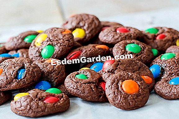 Chocolade koekjes (glutenvrij)