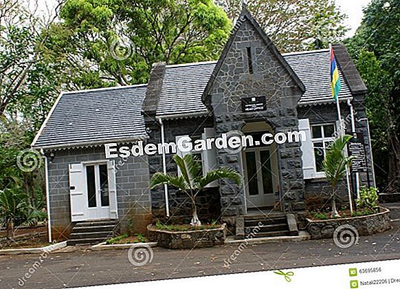 De Pamplemousses-tuin in het hart van Mauritius