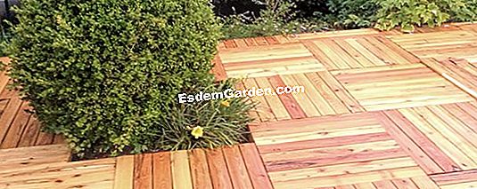 Alternabois: Robinia, o alternativă la teak