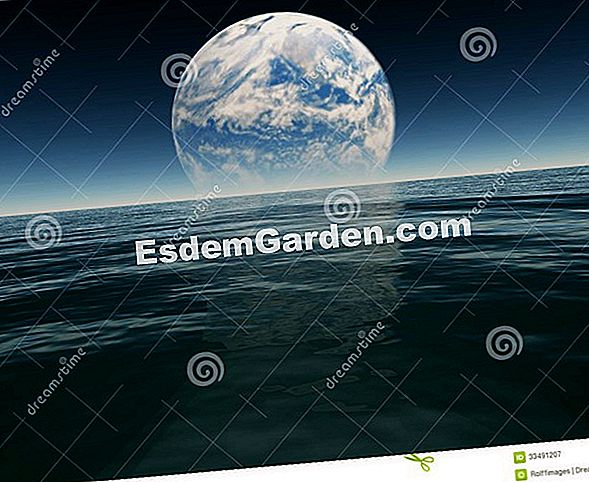Terraform: grădinărit într-un scaun cu rotile, este posibil