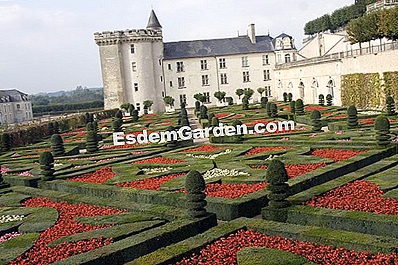O jardim do Château de Villandry (37)