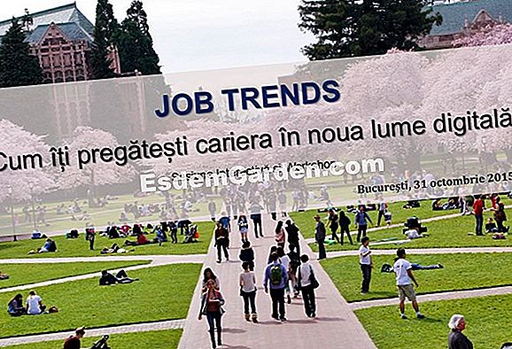 Cum să faci succesul gândacului Peru