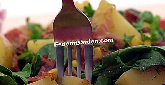 Salată de iarnă