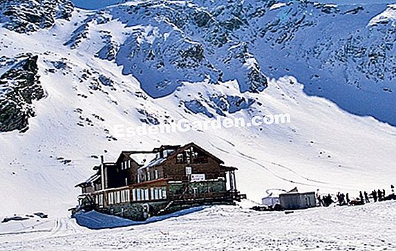 Avalanșe noi de zăpadă