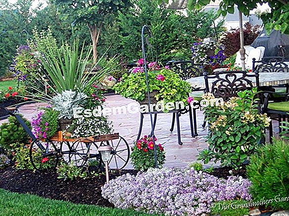 Idei de asociere cu Hortensia YOU & ME®