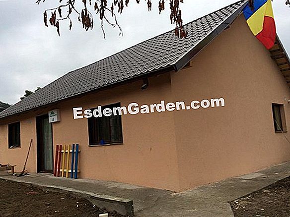Crăciunul de Crăciun