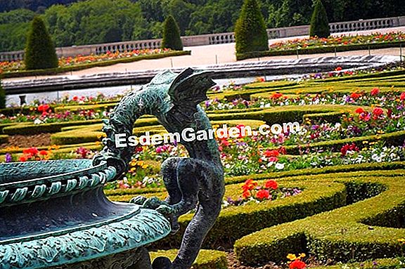 Gradina Palatului de la Versailles (78)