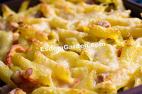 Macaroni gratin với tetragon
