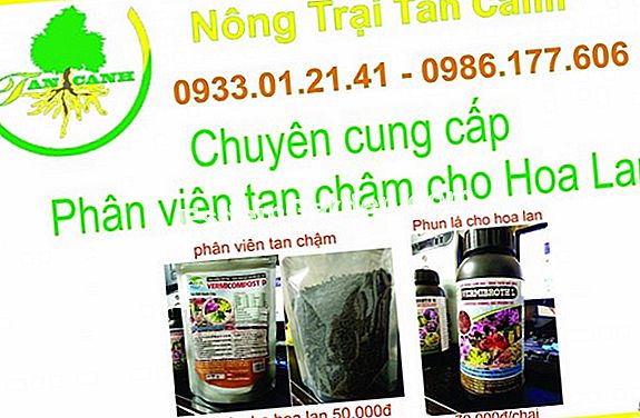 Phân Bón Hữu Cơ Và Phân Khoáng 🌿 TấT Cả Về Làm VườN Và ThiếT Kế Sân VườN - 2022