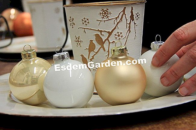 Buat diri anda sebagai pusat bunga untuk Krismas - (buat) Buat diri anda sebagai pusat bunga untuk Krismas: anda