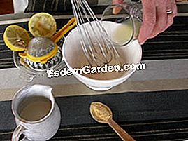 Verduras ralladas en ensalada - (verduras) Preparación del condimento