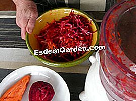 Verduras ralladas en ensalada - (verduras) Verduras ralladas en el robot
