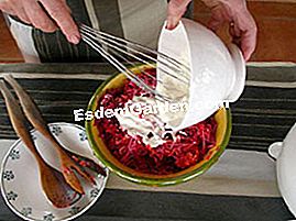 Verduras ralladas en ensalada - (crema) condimento