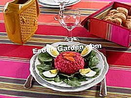 Verduras ralladas en ensalada - (verduras) Starter: verduras ralladas en ensalada