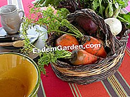 Verduras ralladas en ensalada - (verduras) Verduras ralladas: ingredientes