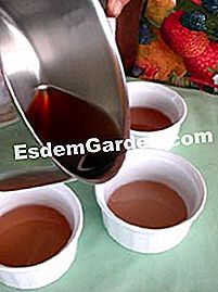 Higos Aspic y pasas - (agar-agar) Mezcle vertido en los moldes