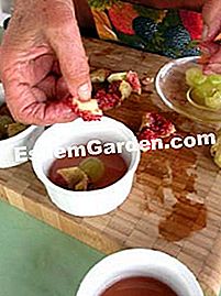 Higos Aspic y pasas - (para) Arreglo de piezas de fruta