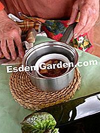 Higos Aspic y pasas - (aspic) Sumergir en una sartén de agua tibia