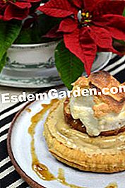 Epal yang dipanggang dan krim chestnut - (dipanggang) Apel dipanggang dan krim kastanye: perkhidmatan
